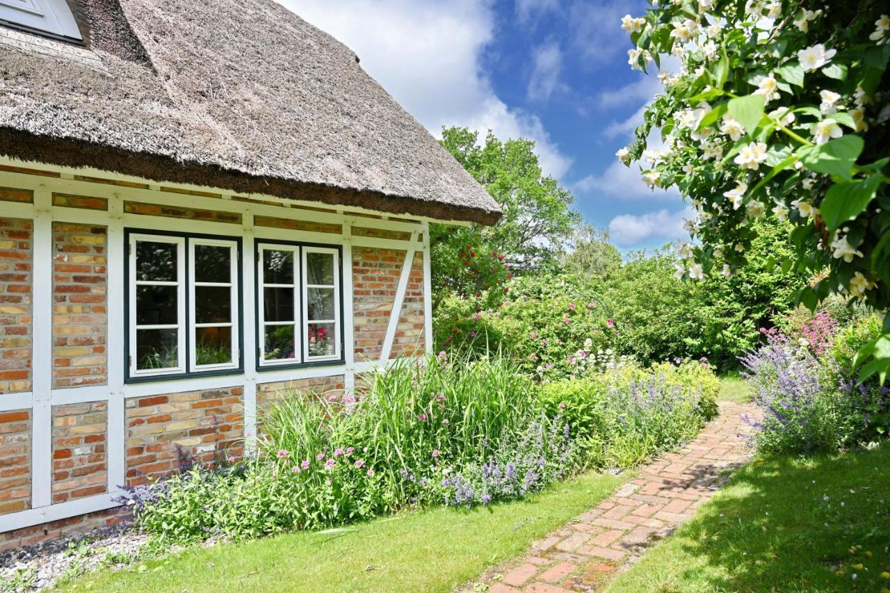 Landhaus Vilmnitz - Wohnung 10 Exterior photo